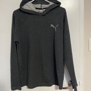 PUMA Grey Mens Hoodie